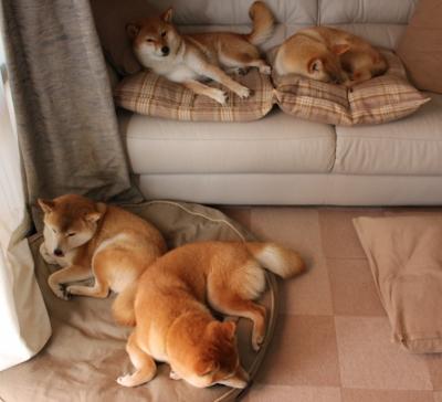 中国象棋协会发布象棋文化推广计划，中国象棋比赛报道